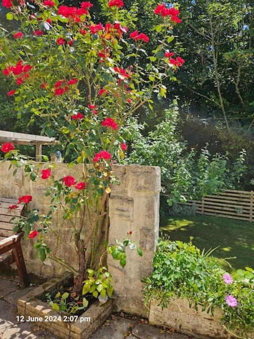 Bannsvale Farmhouse, Mount Hawke, Cornwall, Holiday home *