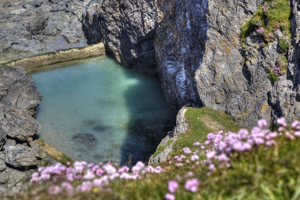 Bannsvale Farmhouse, Mount Hawke, Cornwall, Holiday home *